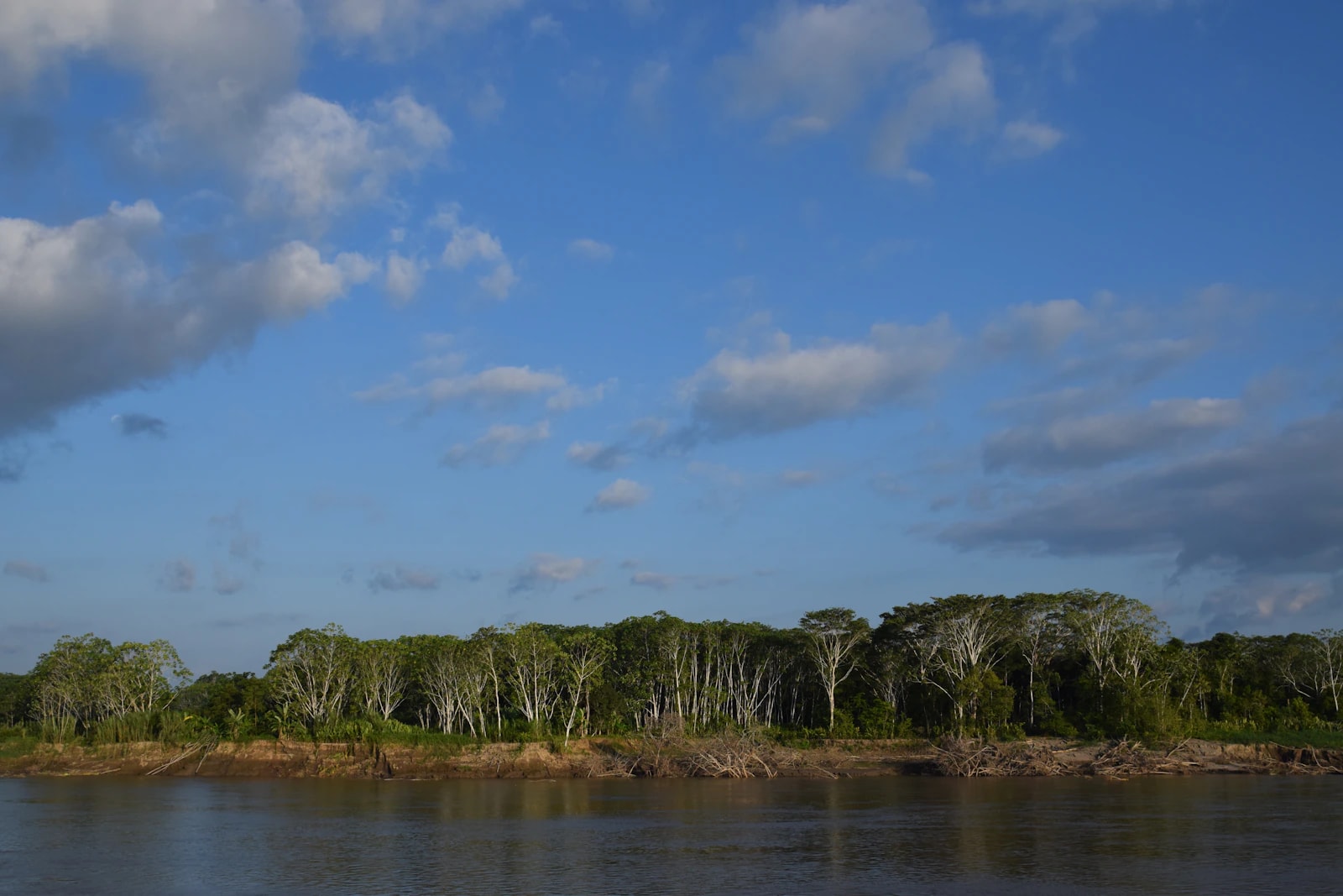 Rio e floresta amazônica sob céu azul